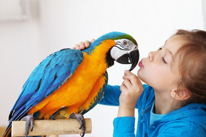 Veterinarian in Tawas City, MI - New Clients